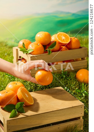 A fresh orange held in mid-air by a hand with long, slender fingers. The orange peel is rough with small holes, still covered with morning dew. Wooden crates filled with fruit in the garden. A fresh orange held in mid-air by a hand with long, slender fingers. The orange peel is rough with small holes, still covered with morning dew. Wooden crates filled with fruit in the garden. 124216677