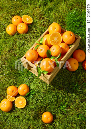 Composition of oranges divided into groups around rectangular wooden crate, displayed on the lawn. The orange segments are arranged in a fan shape from the center outwards, with clear white dividers. Composition of oranges divided into groups around rectangular wooden crate, displayed on the lawn. The orange segments are arranged in a fan shape from the center outwards, with clear white dividers. 124216679