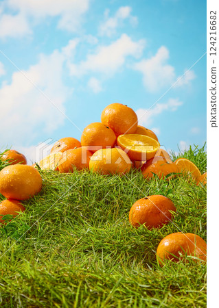 Oranges with drops of water still on the peel, stacked on top of each other. The oranges are covered by the green grass carpet below. Presented in a blue sky background with white clouds. Oranges with drops of water still on the peel, stacked on top of each other. The oranges are covered by the green grass carpet below. Presented in a blue sky background with white clouds. 124216682