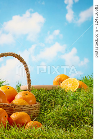 Portrait photo with empty wooden tray in the center to place product or design. Hand woven bamboo picnic basket holds juicy oranges in the garden. Some oranges fell out and lay on the green grass. Portrait photo with empty wooden tray in the center to place product or design. Hand woven bamboo picnic basket holds juicy oranges in the garden. Some oranges fell out and lay on the green grass. 124216683
