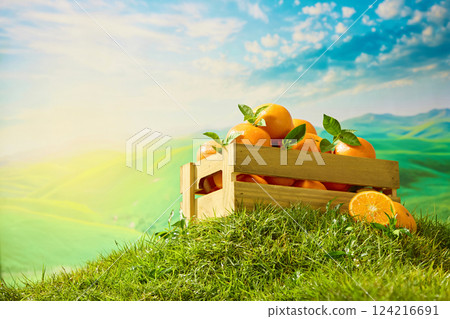 Oblique shot from below of a crate of oranges placed on high mound. Green turf with branches and leaves. Blue sky with drifting clouds and bright light. Oranges contain many vitamins good for health. Oblique shot from below of a crate of oranges placed on high mound. Green turf with branches and leaves. Blue sky with drifting clouds and bright light. Oranges contain many vitamins good for health. 124216691