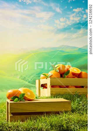 Vertical shot of a semi-juicy orange placed on the surface of a wooden crate, partially covered with grass. Little branches and leaves are placed in the gaps between the oranges. Nature concept Vertical shot of a semi-juicy orange placed on the surface of a wooden crate, partially covered with grass. Little branches and leaves are placed in the gaps between the oranges. Nature concept 124216692