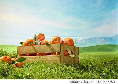 Wooden crate with spaces between the wooden slats, filled with ripe juicy oranges dewy leaves. Farm scene with blue sky and blurred mountains. Empty space for showing product or designing. Wooden crate with spaces between the wooden slats, filled with ripe juicy oranges dewy leaves. Farm scene with blue sky and blurred mountains. Empty space for showing product or designing. 124216705