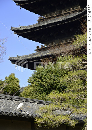 五重塔與蒼鷺 五重塔與蒼鷺 124216781