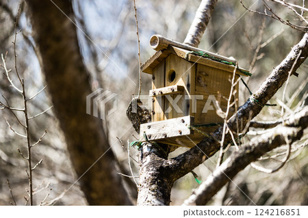 東京武藏村山野山北公園的鳥巢箱 124216851