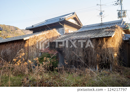 日本岡山縣瀨戶內市蟲上港的古老而美麗的建築 124217797