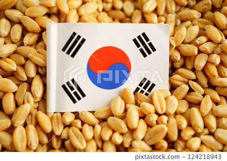 South Korea flag on grain wheat, trade export and economy concept. South Korea flag on grain wheat, trade export and economy concept. 124218943