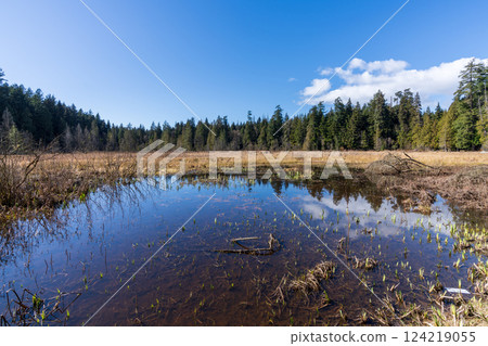 Beaver Lake in Stanley Park. Vancouver, British Columbia, Canada. 124219055