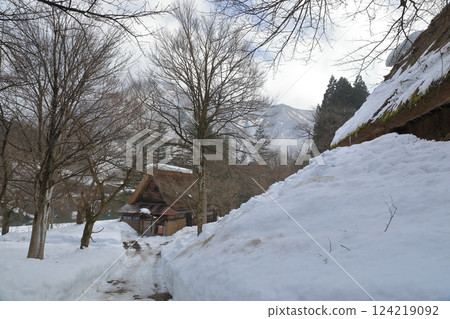 Winter scenery of Gokayama Gassho-no-Sato, where Gassho-style houses stand in the snowy fields Winter scenery of Gokayama Gassho-no-Sato, where Gassho-style houses stand in the snowy fields 124219092