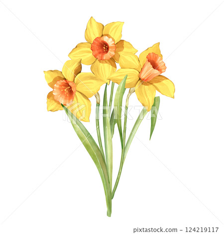 Bouquet of daffodil flowers. Spring hand painted floral illustration. Bouquet of daffodil flowers. Spring hand painted floral illustration. 124219117