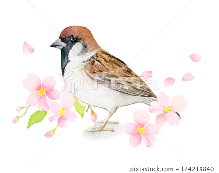 水彩插圖：櫻花和麻雀 124219840