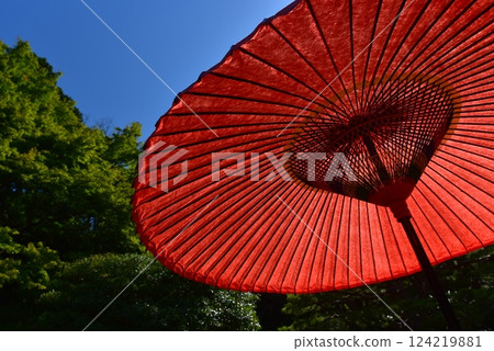 日本紅傘 124219881