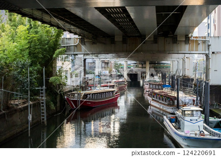 [Kanasugi Bridge] A local train passing under the viaduct with a houseboat 124220691