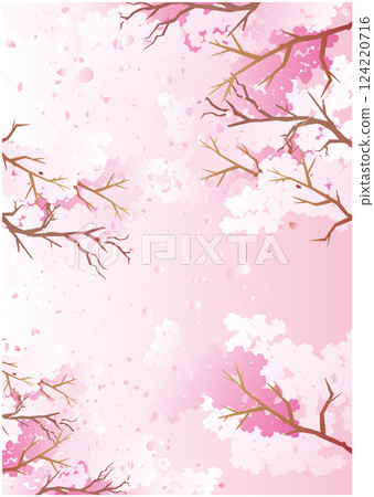 春天櫻花花瓣背景 春天櫻花花瓣背景 124220716