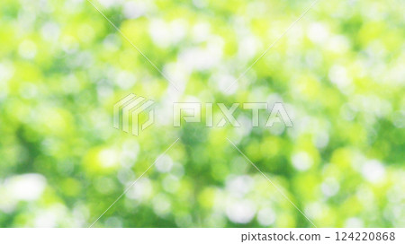 Fresh green ball bokeh 16:9 124220868