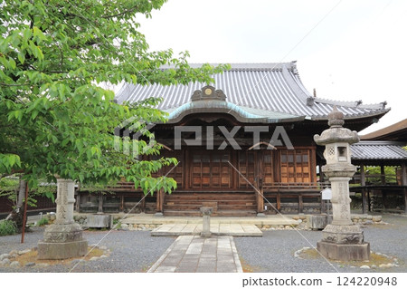 Wisteria at Mandala Temple (Konan City, Aichi Prefecture)・44 Wisteria at Mandala Temple (Konan City, Aichi Prefecture)・44 124220948