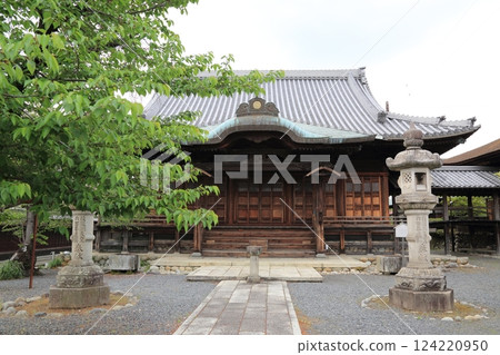 Wisteria at Mandala Temple (Konan City, Aichi Prefecture) ・45 Wisteria at Mandala Temple (Konan City, Aichi Prefecture) ・45 124220950