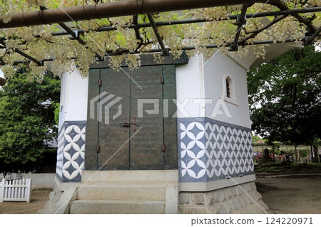 曼陀羅寺的紫藤(愛知縣湖南)・57 曼陀羅寺的紫藤(愛知縣湖南)・57 124220971