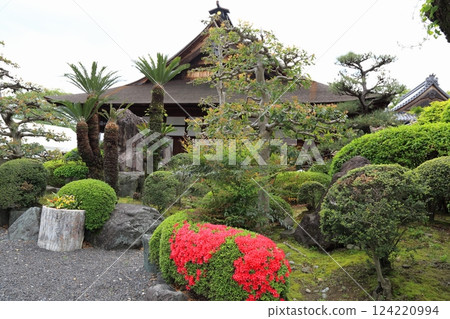 曼荼羅寺的紫藤(愛知縣江南市) 曼荼羅寺的紫藤(愛知縣江南市) 124220994