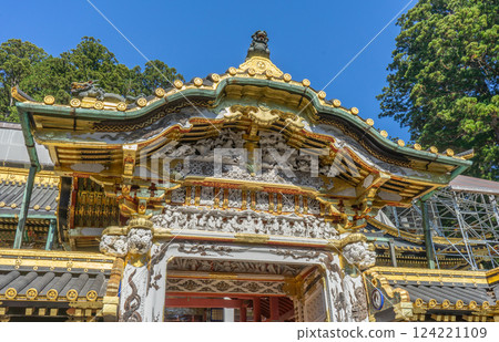 The magnificent Toshogu Shrine in Nikko, Japan 124221109