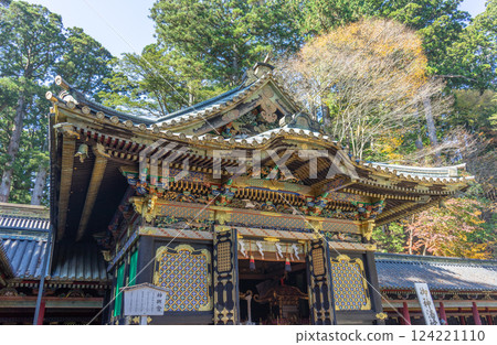 The magnificent Toshogu Shrine in Nikko, Japan 124221110