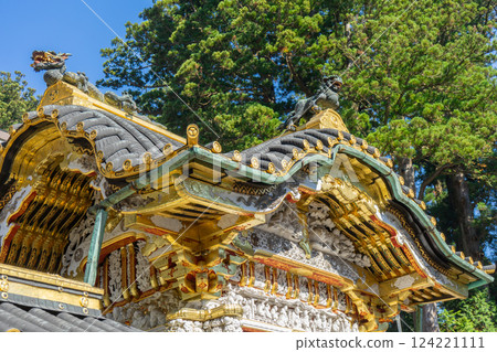 The magnificent Toshogu Shrine in Nikko, Japan 124221111