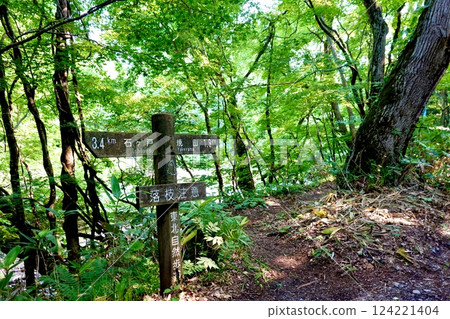 A view of a signpost on the Tohoku Nature Trail along the Oirase Stream, Towada City, Aomori Prefecture 124221404