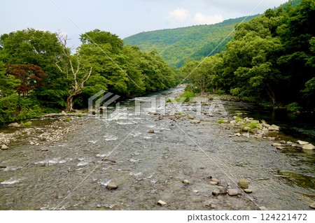 青森縣十和田市十和田橋下游的奧入瀨川景色 青森縣十和田市十和田橋下游的奧入瀨川景色 124221472