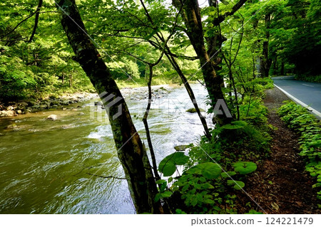 A green landscape that envelops the Oirase River and National Route 102 in Towada City, Aomori Prefecture A green landscape that envelops the Oirase River and National Route 102 in Towada City, Aomori Prefecture 124221479