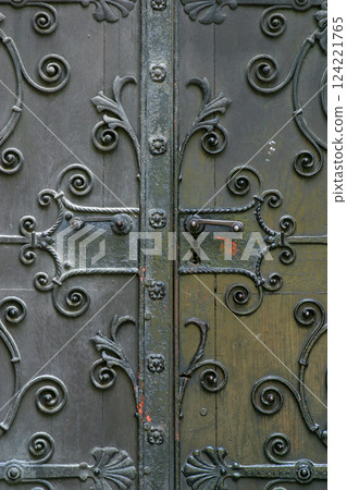 Door of the Sacristy of Zagreb Cathedral 124221765