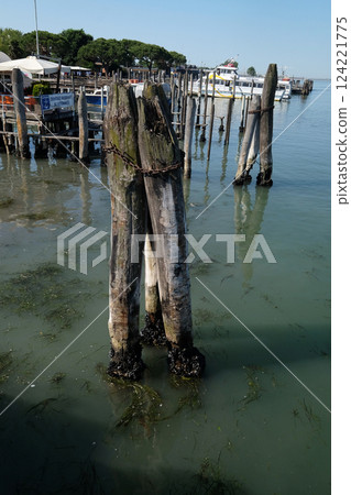 Wooden mooring poles in the sea on the way from Lido di Jesolo to Venice, Italy 124221775