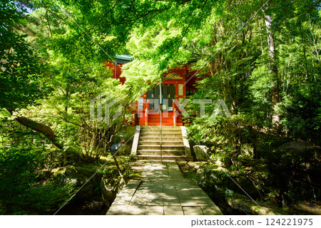 Benzaiten at Bishamondo Gate surrounded by fresh greenery 124221975