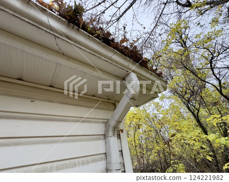 clogged drain with dry leaves 124221982