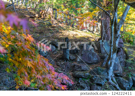 Maple leaves and Buddha statues at Toshogu Shrine in Nikko, Japan 124222411
