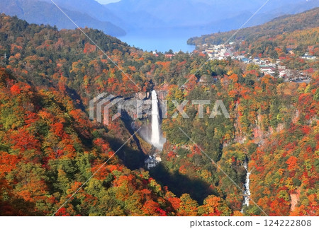[Tochigi Prefecture] Autumn leaves at Kegon Falls on a clear day (Nikko) 124222808