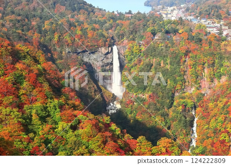 [栃木縣]晴天華嚴瀑布的紅葉（日光） 124222809