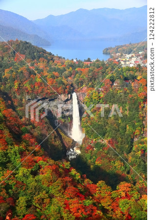 [Tochigi Prefecture] Autumn leaves at Kegon Falls on a clear day (Nikko) 124222812