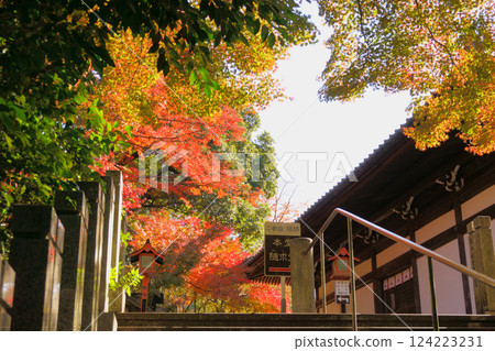 繼岡觀音寂光院 - 七福坂的秋葉很美 124223231