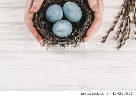 Atmospheric Easter concept. Blue eggs in birds nest in female hands and pussy willow on wooden white background, top view, copy space. Atmospheric Easter concept. Blue eggs in birds nest in female hands and pussy willow on wooden white background, top view, copy space. 124223531