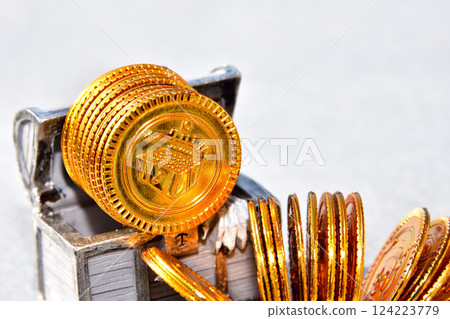 金幣、儲蓄、投資、資產管理形象 124223779