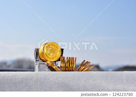 金幣、儲蓄、投資、資產管理形象 124223780