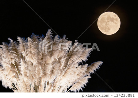 A beautiful autumn landscape with a full moon and silver grass 124223891