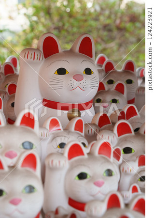 豪德寺聖福殿的招財貓 豪德寺聖福殿的招財貓 124223921