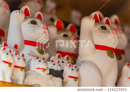 豪德寺聖福殿的招財貓 豪德寺聖福殿的招財貓 124223931