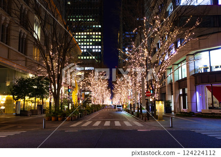 丸之內照明 124224112