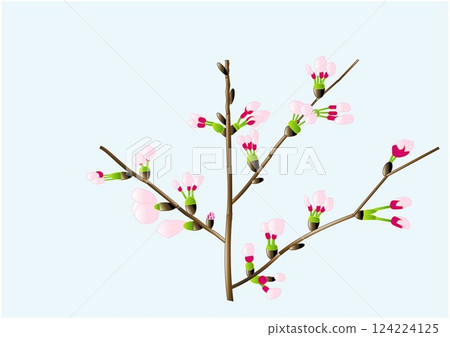 櫻花和樹枝的矢量圖解 124224125