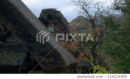 合掌村 合掌村 124224483