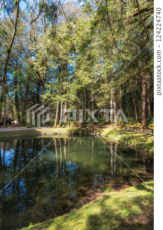 Alishan Sister Ponds Alishan Sister Ponds 124224740