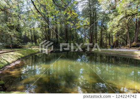 Alishan Sister Ponds 124224742
