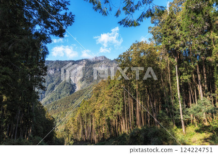 Mount Data in Alishan 124224751